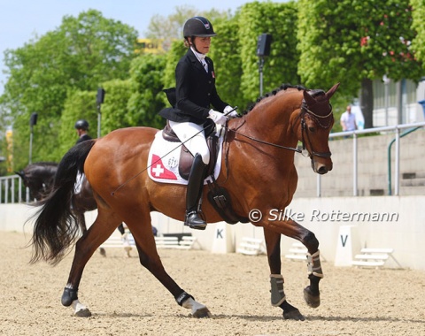Mannheim long-time visitor Nicole Geiger from Switzerland and her 18-year-old former international medalist, the Dutch bred gelding Amigo (by United-Flemmingh), always stand out with their correct riding