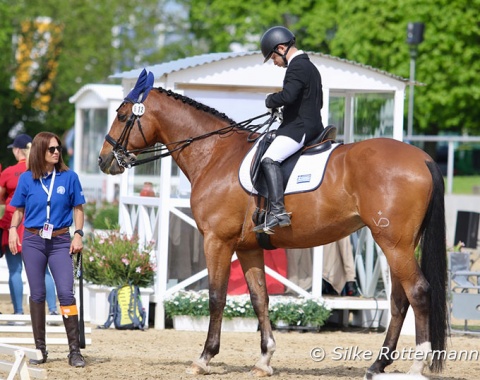 In Grade 1 Greek Michael Kalarakis getting ready with the big framed gelding Lotopequi who carries an interesting freeze brand