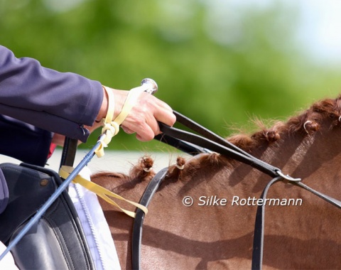 Looped reins are an aid tool in para dressage