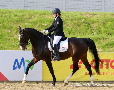 Perhaps uncommon in looks, the now 14-year-old Gelderlander mare Fairuza, show-cased her good training to win two out of three classes in Grade 3 with Canadian Roberta Sheffield who is based in Britain.