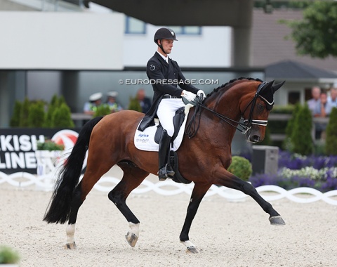 Daniel Bachmann Andersen on Vayron (by Vitalis x Gloster). Impressive mover but still quite green at Grand Prix