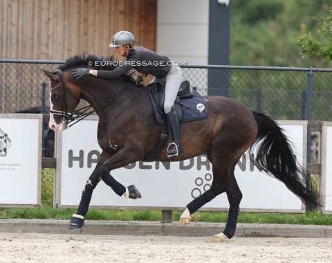 Germany's Jana Kun training Famous Newry (by Negro x Lingh) in Kronenberg