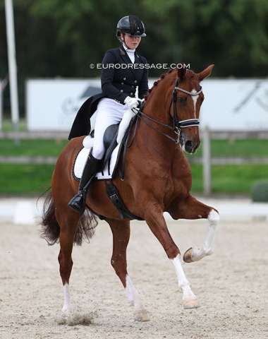 Dutch young rider Mirthe van Doremalen on I Am Special (by Charmeur x Jazz)