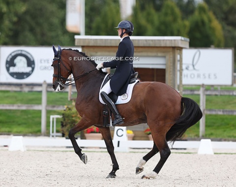 Jorinde Verwimp on Charmer (by Charmeur x Quattro B)