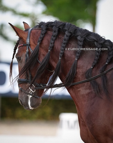 And braids...  Corinto Azores