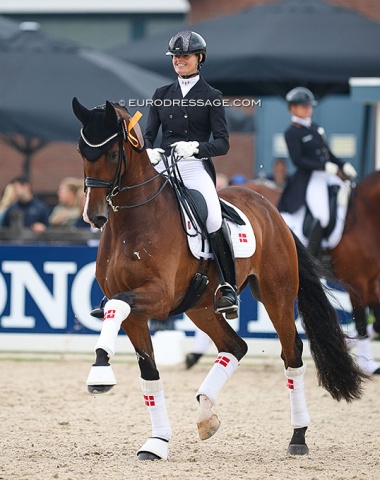 Susanne Barnow on Skovens Dexter