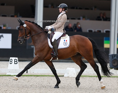 Charlotte Chalvignac on Dempsey FBC (by Don Juan de Hus x Contendro)