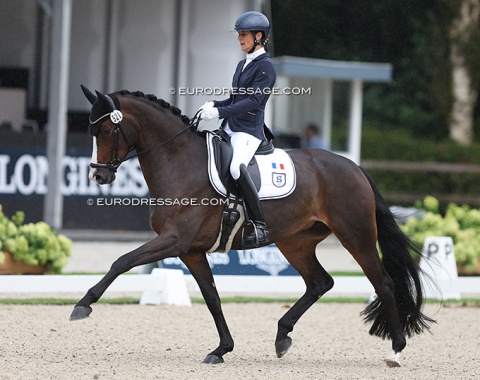 French Olympian Maxime Collard on Fiadora owned by art dealership Applicat Prazan