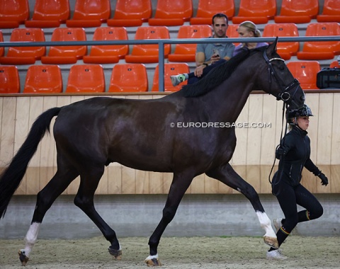 Suraya Hendrikx and Sacramento van het Bloemenhof