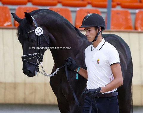 Hungary's Istvan Marschall with Don Bellevue SJ at the horse inspection
