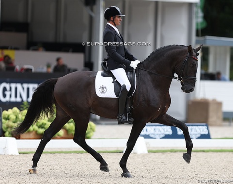 Spanish Olympian Jose Antonio Garcia Mena representing Portugal on the Lusitano Omero HI, but the horse wore a Spanish browband ;)