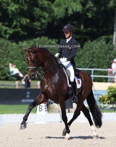 Daniel Bachmann Andersen's green Grand Prix horse Vayron (by Vitalis x Gloster) ran out of energy in the freestyle. They landed 17th place with 77.279%