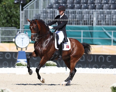 Daniel Bachmann Andersen and Vayron. The horse lost a shoe in the test but didn't show any signs of it in his movements