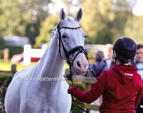 The absolutely characteristic face of team Germany’s Grade I hope Nautika.