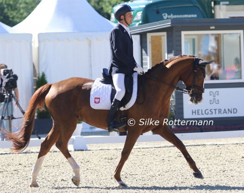 The oldest horse in Grade IV: 19-year-old Rhinelander mare Femme de Matcho (by Fürst Heinrich x Matcho AA), ridden by Domijik Ast for Poland.