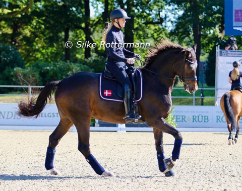 Denmark’s Grade 5 rider Nicole Johnson and Moromax.