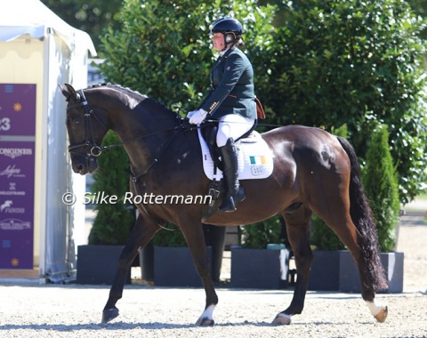 Irish Grade III rider Katie Reilly and her Dutch bred gelding Impulz W (by Wynton-Rubinstein) entering the para stadium