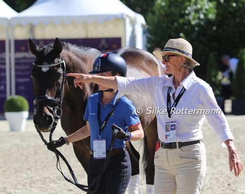 Carola Semperboni’s wonderful Westfalian gelding Paul (by Polany) on his way to his place to act as the „friendly horse“ for Francesca Salvade’s inexperienced Escari.