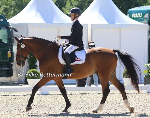 With King of the Dance one always gets the feeling the strong boned Latvian gelding has an inborn metronome