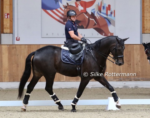 French Vladimir Vinchon and Pégase Mayenne (by Fidertanz) who was formerly known under the name Fidertanz for Rosi.