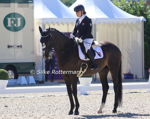 The 17-year-old Oldenburger Sterngreifer (by Souvenir x Ligretto) with his characteristic blaze. Ridden by Slovakian Lucia Vladovicova he paced 13th.