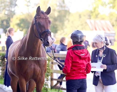 Lemony’s Loverboy of German team Grade 3 rider Melanie Wienand