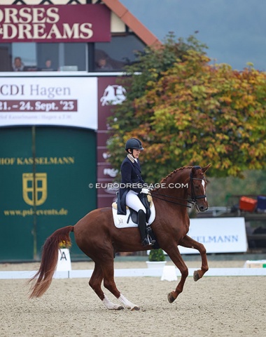 South African Laurienne Dittmann is back in the international ring with small tour horse Van Halen (by Vitalis x Rubinstein)