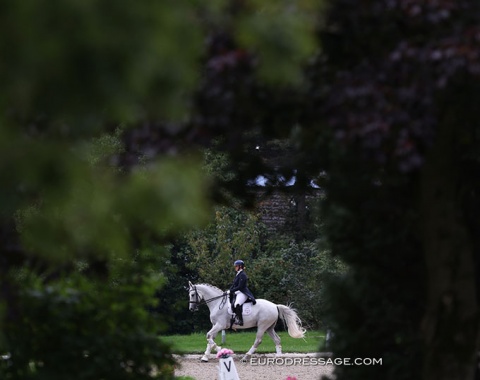 South African Gretha Ferreira warming up Kalliani van het Molenzicht (by Galliani Biolley x Camus)
