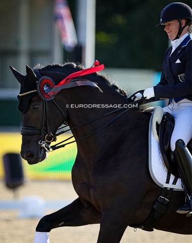Mist of Titanium's ribbon flying in the wind