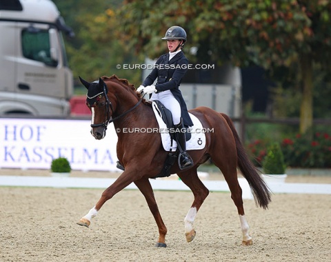 Madeleine Plinke on Daymax (by Dimaggio x Alabaster)