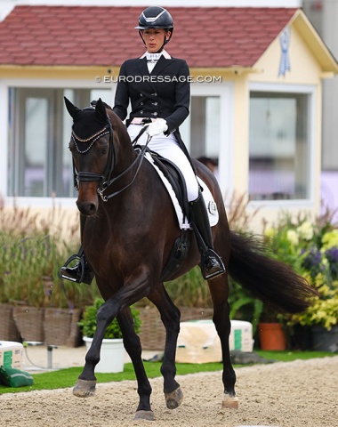 After an 8-year break from international competition, Belgian Anemone Samyn is back with the 16-year old Trakehner bred Zingaro (by Kasimir x Tambour)