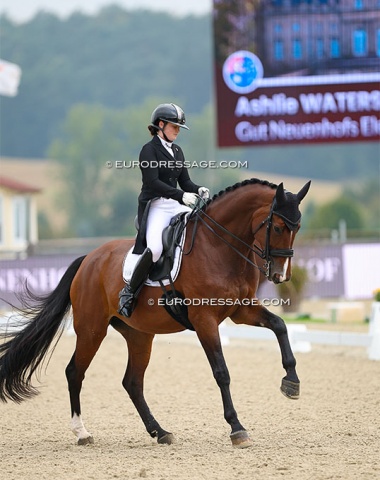 New Zealand's Ashlie Waters made her CDI debut on the 9-year old Westfalian mare Gut Neuenhofs Elegance (by Estobar x Florenciano). This horse was previously shown by Lukas Fischer and Manuela Nitschke