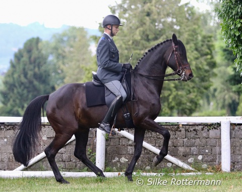 Meet Max Jaquerod - here on the 16-year-old Oldenburger mare „Black Pearl“ (by Carry Gold-Chromatic xx) in spring 2023
