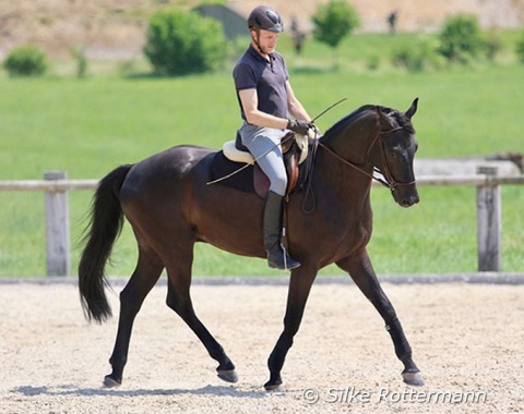 Executing circles of different circumferences make the inside hind-leg step increasingly forward. Key to the educational effect is a relaxed and supple horse who keeps the rhythm. Here Fantastico is still slightly tilting his head due to a lack of lateral flexion