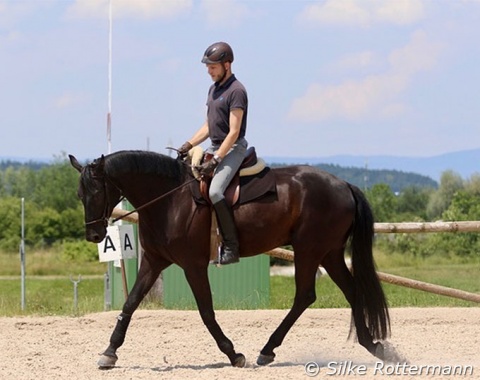 Follow-up situation: Max remains calm and initiates to go forward-downward on the circle to relax the horse. It is clearly visible that the horse starts the stretch going over the back following the hand, although he is still a touch on the forehand (left front-leg still slightly on the ground)