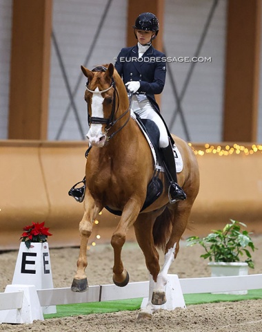 Charlotte Fry on the Belgian warmblood Lars van de Hoenderheide (by Negro x Layout)