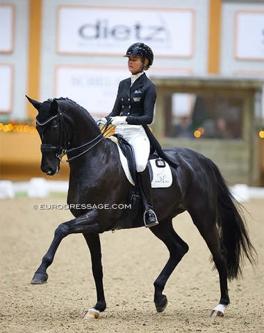 German based Australian Jemma Heran on Saphira Royal (by San Amour x Monteverdi). This mare was one of three mares by San Amour in the Grand Prix