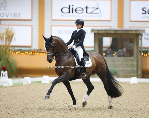 Judit Sarda Mena and the breeding stallion Foundation, who competed in Kronenberg alongside three of his offspring: Favour Gersdorf, Fellini du Soleil, and Feneton