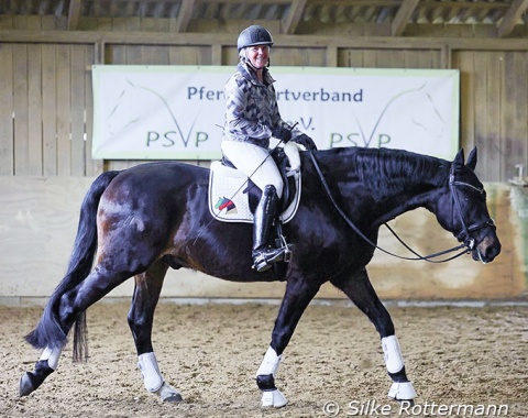 Dressage can be fun with relaxed horses. Uta Gräf is allowing San Diamond to stretch and rest a bit on long reins in walk, before the lesson continues.