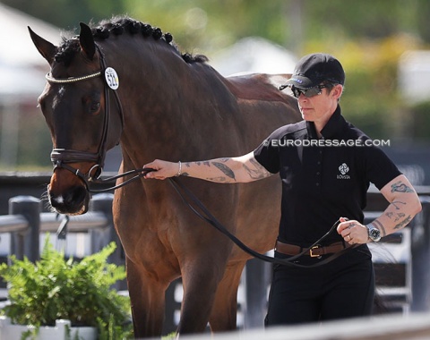 Show jumper Sophie Mörner making her CDI dressage debut with Machacho