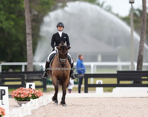 Canadian Rakeya Moussa on the Belgian bred Davidoff van het Trichelhof (by Lord Leatherdale)