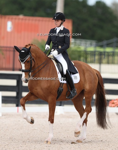 Susan Pape on Harmony Sporthorses' KWPN mare Guililanta