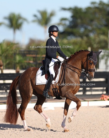 Ellesse Tzinberg Gundersen on the home bred Quintessential