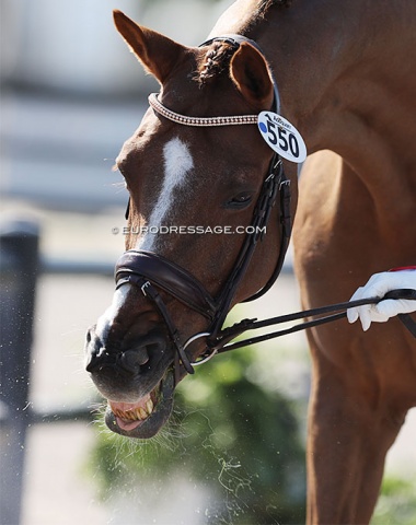 A sneeze caught on camera. Bless you