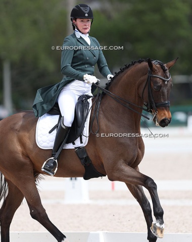 Familiar face: Alexa Westendarp's German youth team horse Der Prinz now a GP schoolmaster with Taryn Hartnett and before her with Rachael Franks