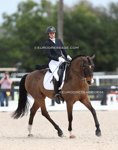 A familiar face: SPH Dante, sold for 2.8 million euro to Russians at the 2014 PSI Auction. Now a schoolmaster for Nicole Acosta