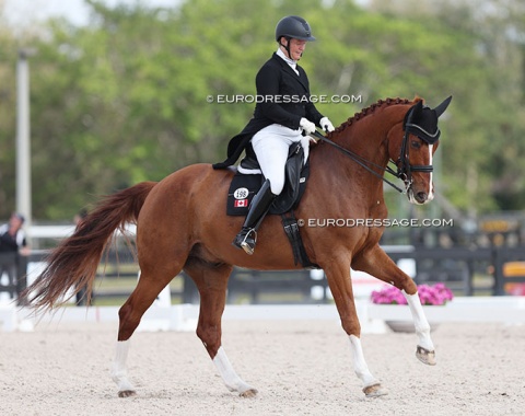 Canadian Olympian Jacqueline Brooks is preparing two new Grand Prix horses: Te Amo and this is Quel Filou (by Quatergold)