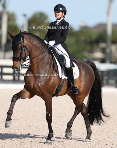 Katrin Dagge aboard KWPN bred Starstruck (by Bretton Woods x Stedinger). Originally named Gentleman, he was shown by Priscilla Noorlander in The Netherlands before selling to the USA