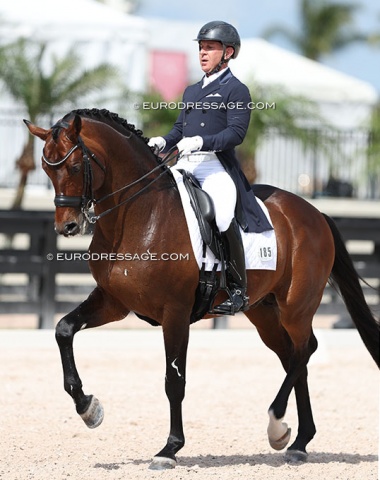 Matthew Johnson on his 2014 WCYH Verden ride Petersborg Qasaova (by Quaterback x Calypso II). He last competed him internationally as a 6-year old in 2015.