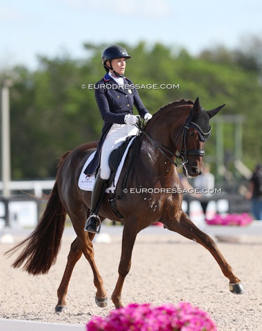 A familiar face: Atterupgaards Botticelli (by Benetton Dream x Caprimond), showing at small tour level with Charlotte Jorst. 